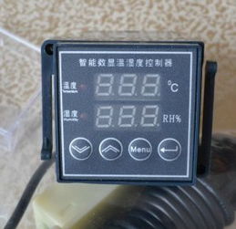 溫濕度控制器 精準(zhǔn)環(huán)境控制的智慧之選