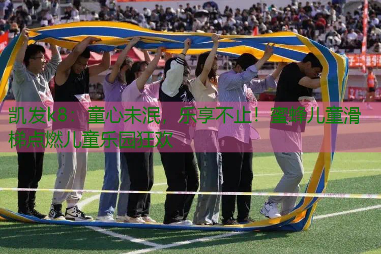童心未泯，乐享不止！蜜蜂儿童滑梯点燃儿童乐园狂欢