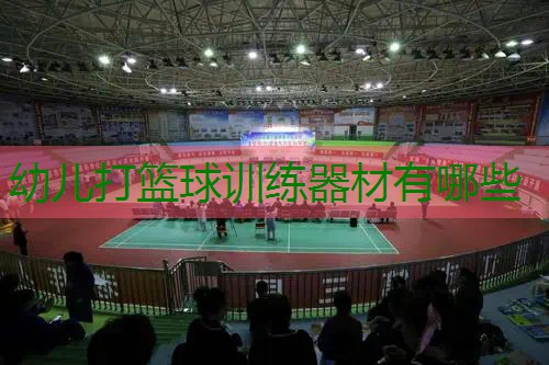 幼儿打篮球训练器材有哪些 幼儿打篮球训练器材有哪些