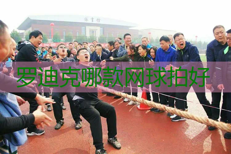 罗迪克哪款网球拍好