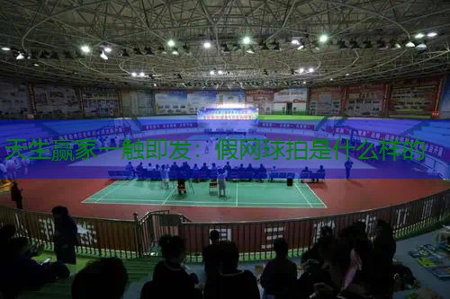 假网球拍是什么样的