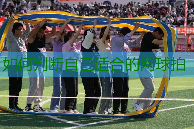 如何判断自己适合的网球拍
