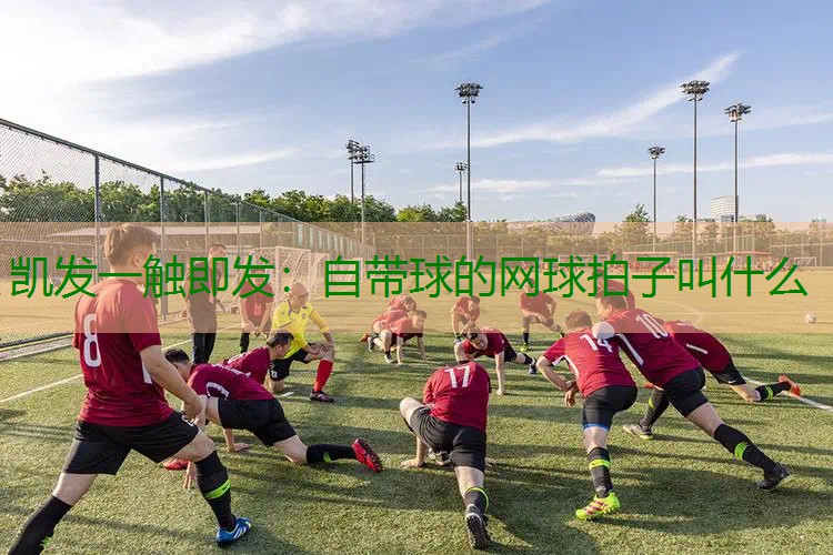 自带球的网球拍子叫什么