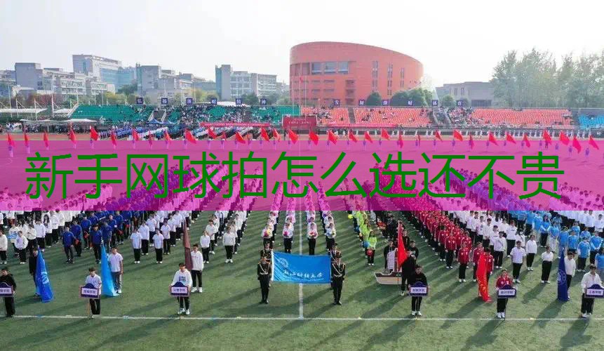 新手网球拍怎么选还不贵