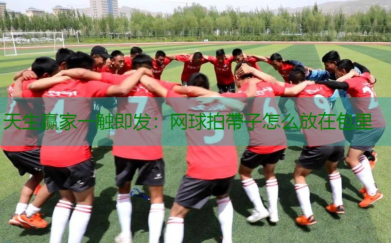 网球拍帶子怎么放在包里