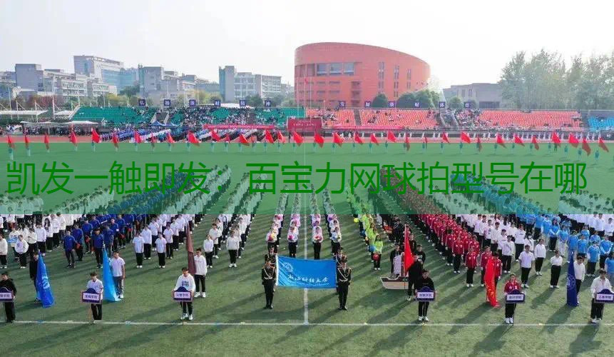 百宝力网球拍型号在哪