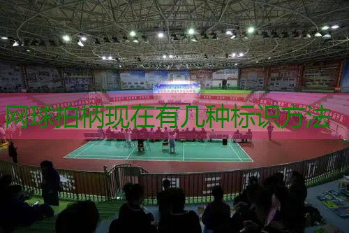 网球拍柄现在有几种标识方法