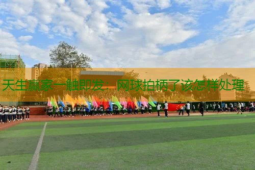 网球拍柄了该怎样处理