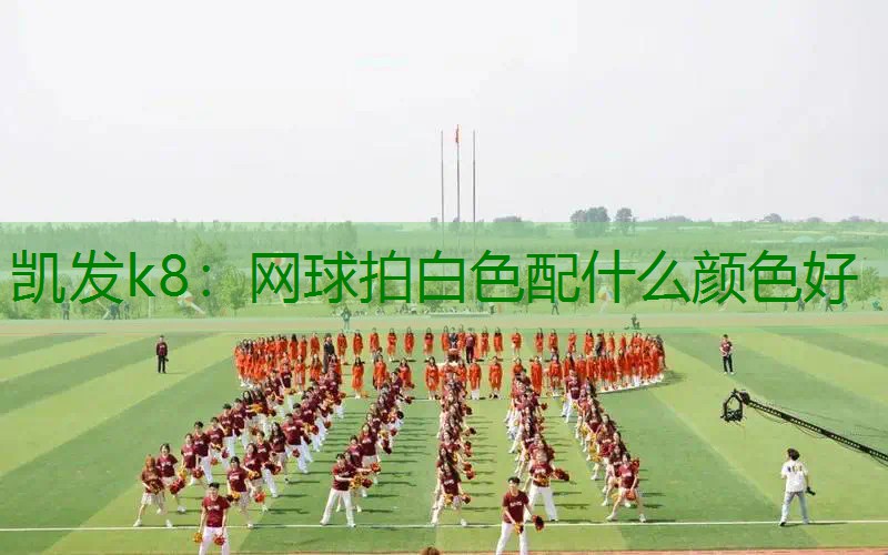 网球拍白色配什么颜色好