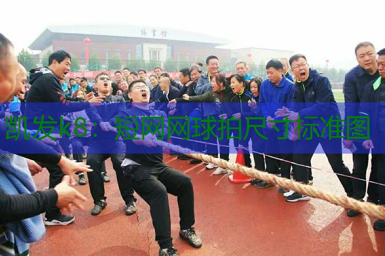 短网网球拍尺寸标准图
