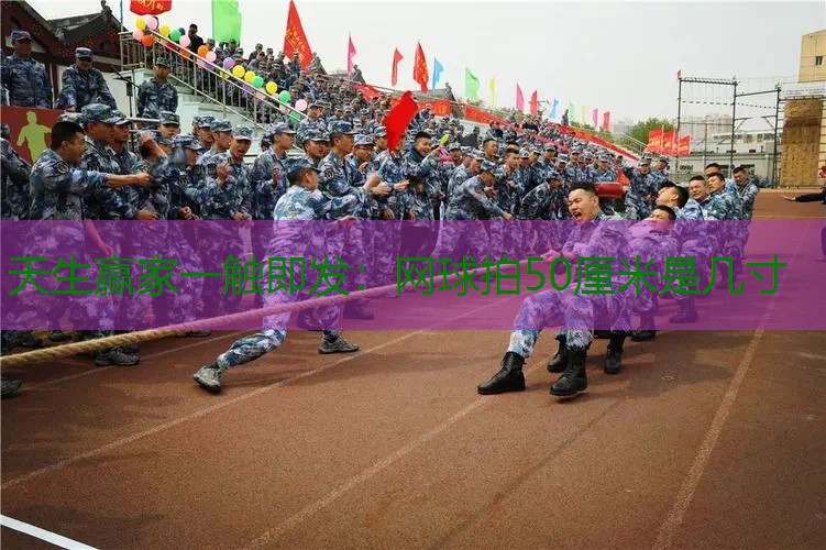 网球拍50厘米是几寸