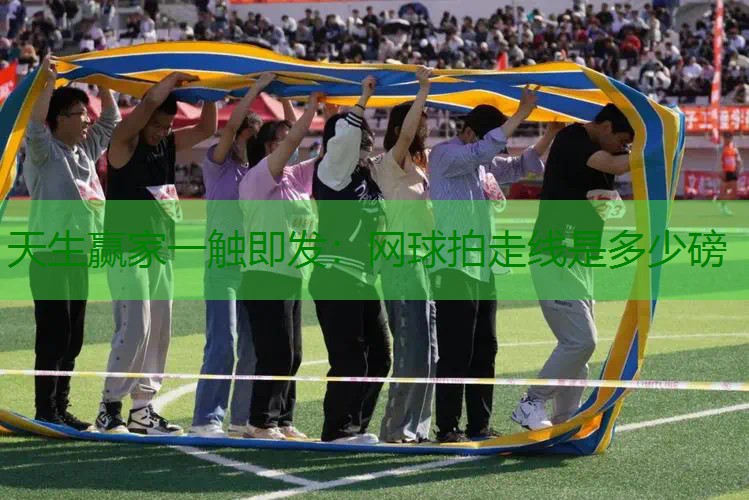 网球拍走线是多少磅