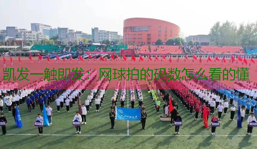 网球拍的码数怎么看的懂