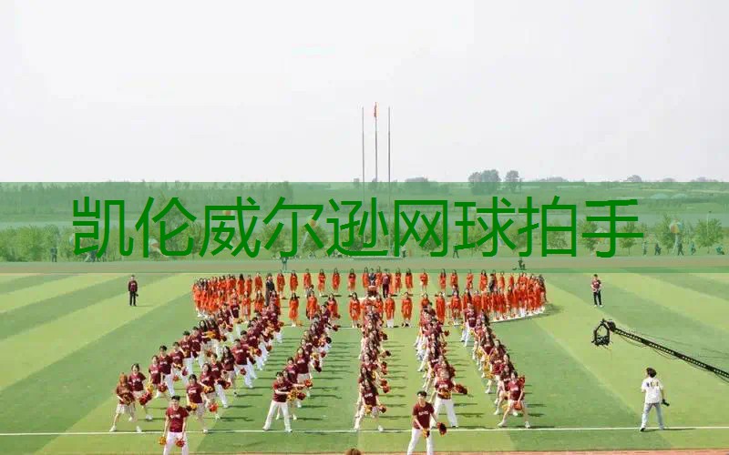 凯伦威尔逊网球拍手