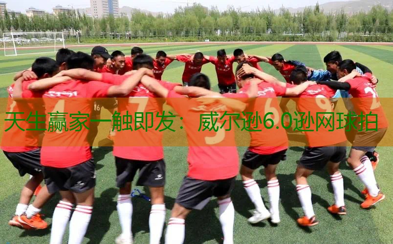 威尔逊6.0逊网球拍