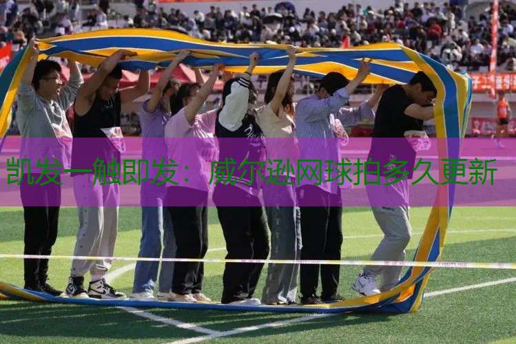 威尔逊网球拍多久更新