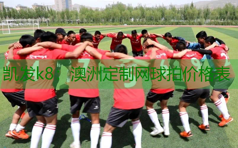 澳洲定制网球拍价格表