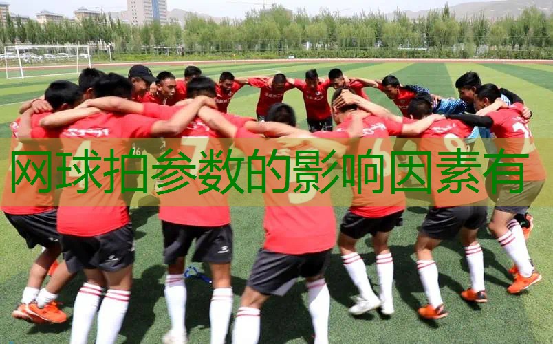 网球拍参数的影响因素有
