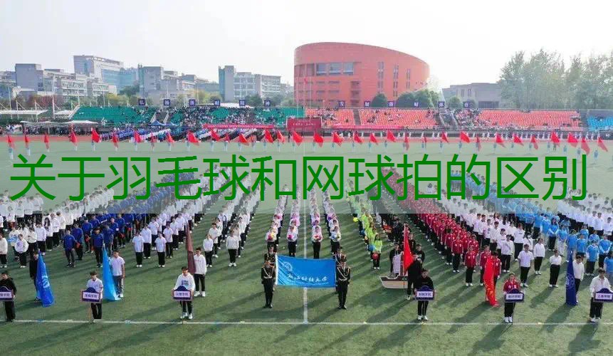 关于羽毛球和网球拍的区别