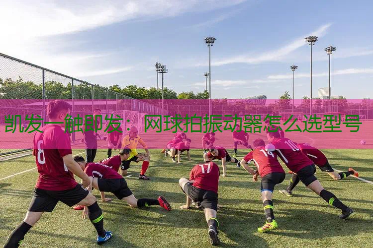 网球拍振动器怎么选型号