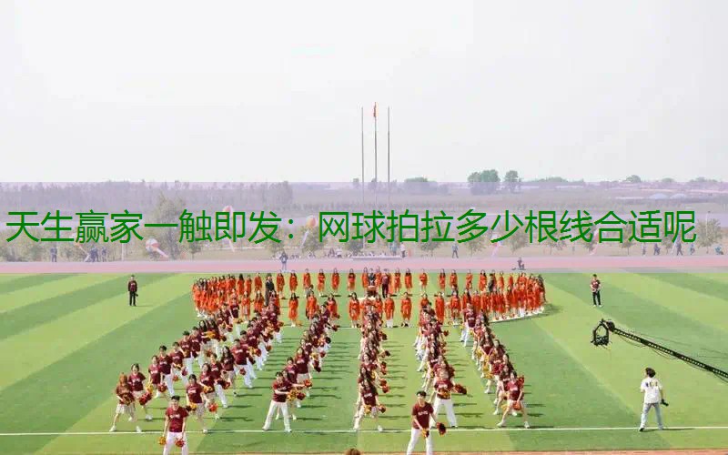 网球拍拉多少根线合适呢