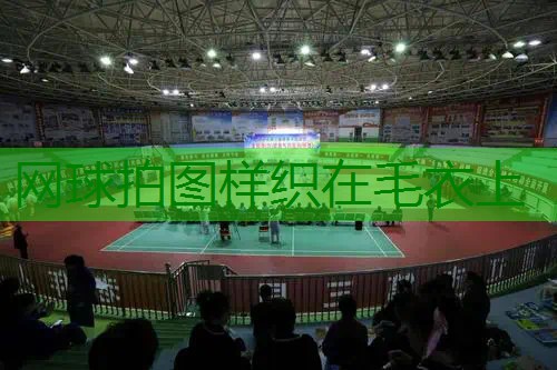 网球拍图样织在毛衣上