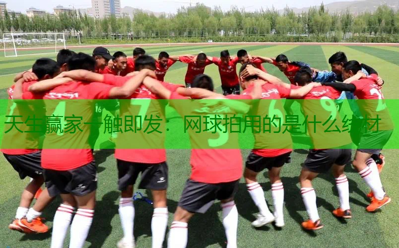 网球拍用的是什么线材